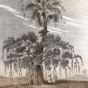 Meet your Posher, Ajay